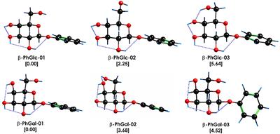 Phenyl-β-D-glucopyranoside and Phenyl-β-D-galactopyranoside Dimers: Small Structural Differences but Very Different Interactions